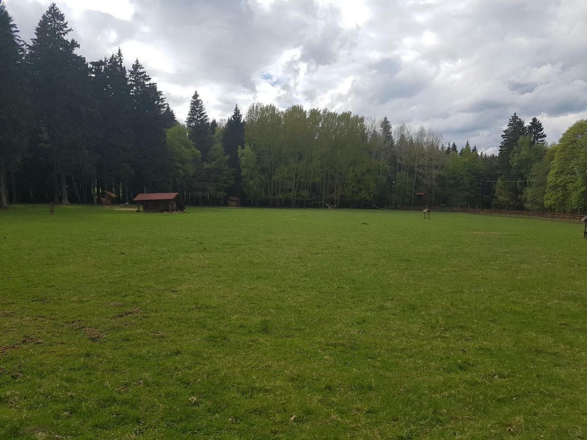 Mariánské Lázně Pension Villa Berolina מראה חיצוני תמונה
